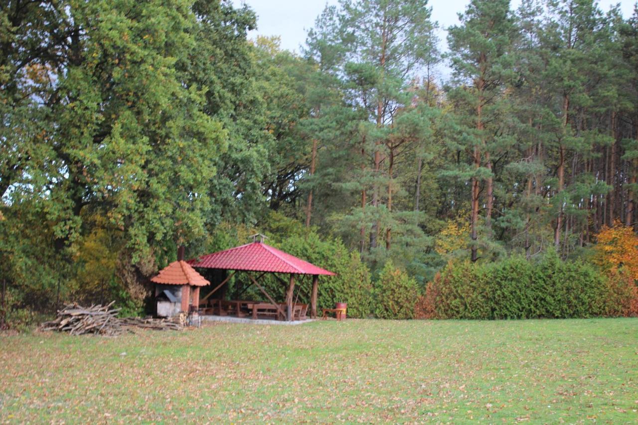 Gospodarstwo Agroturystyczne Agroletnica Świdnica Kültér fotó