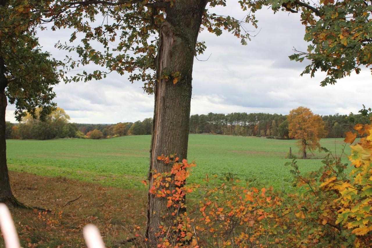 Gospodarstwo Agroturystyczne Agroletnica Świdnica Kültér fotó