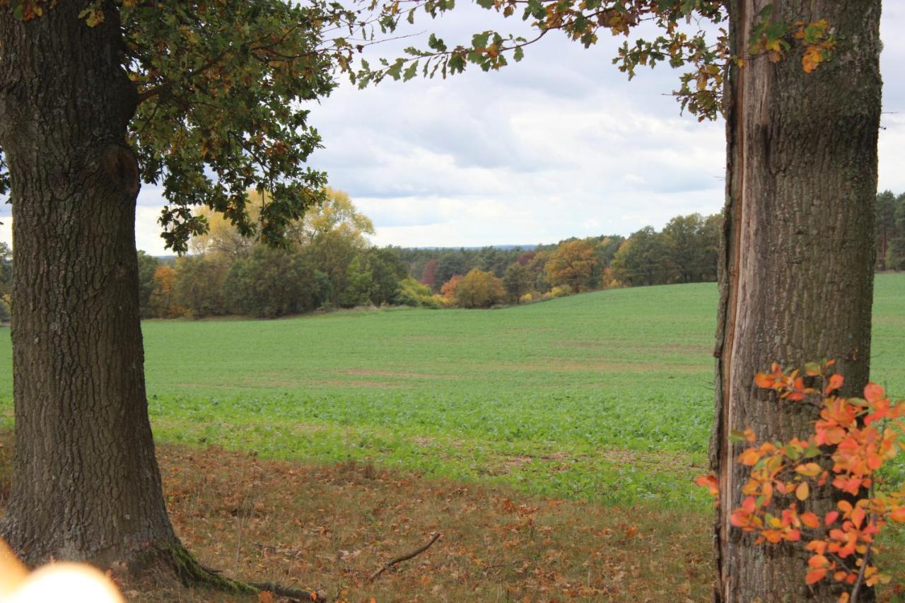 Gospodarstwo Agroturystyczne Agroletnica Świdnica Kültér fotó