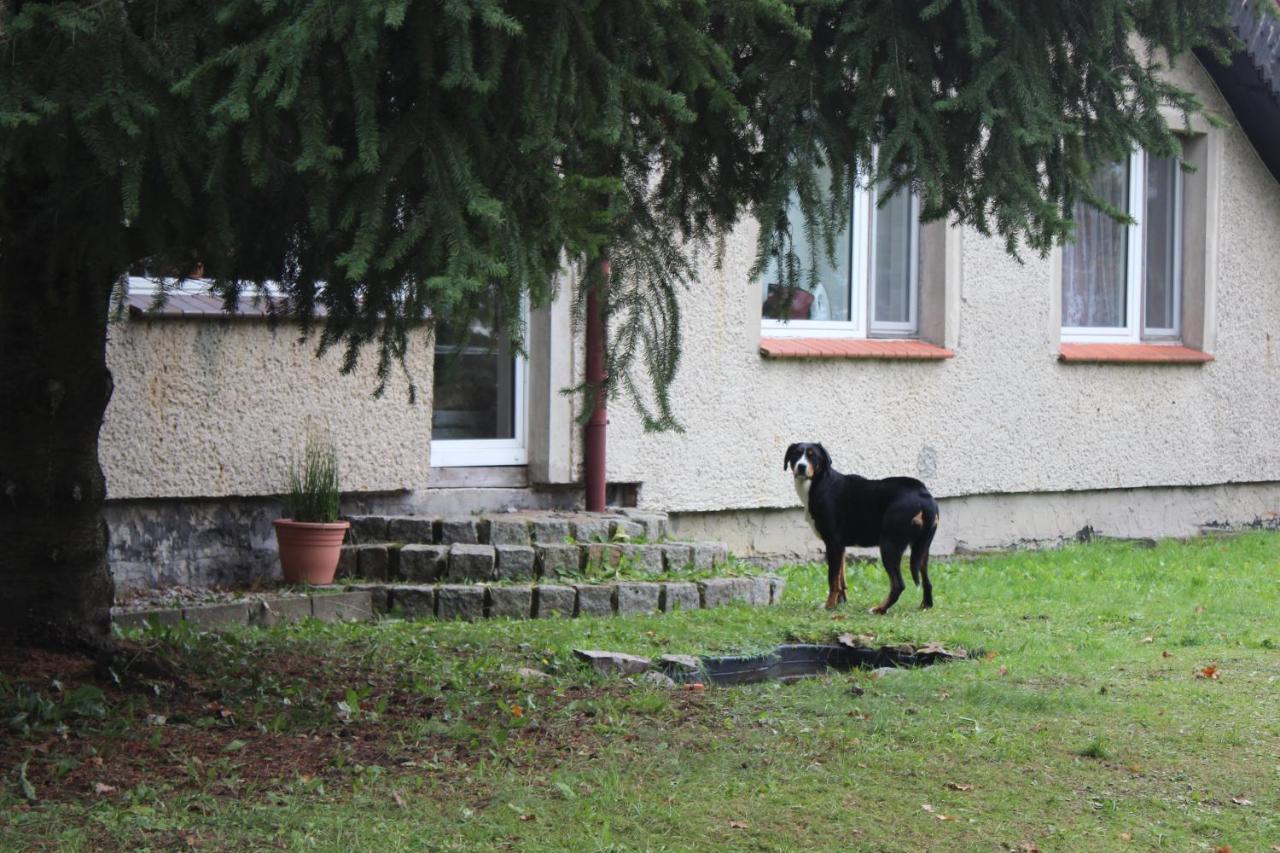 Gospodarstwo Agroturystyczne Agroletnica Świdnica Kültér fotó
