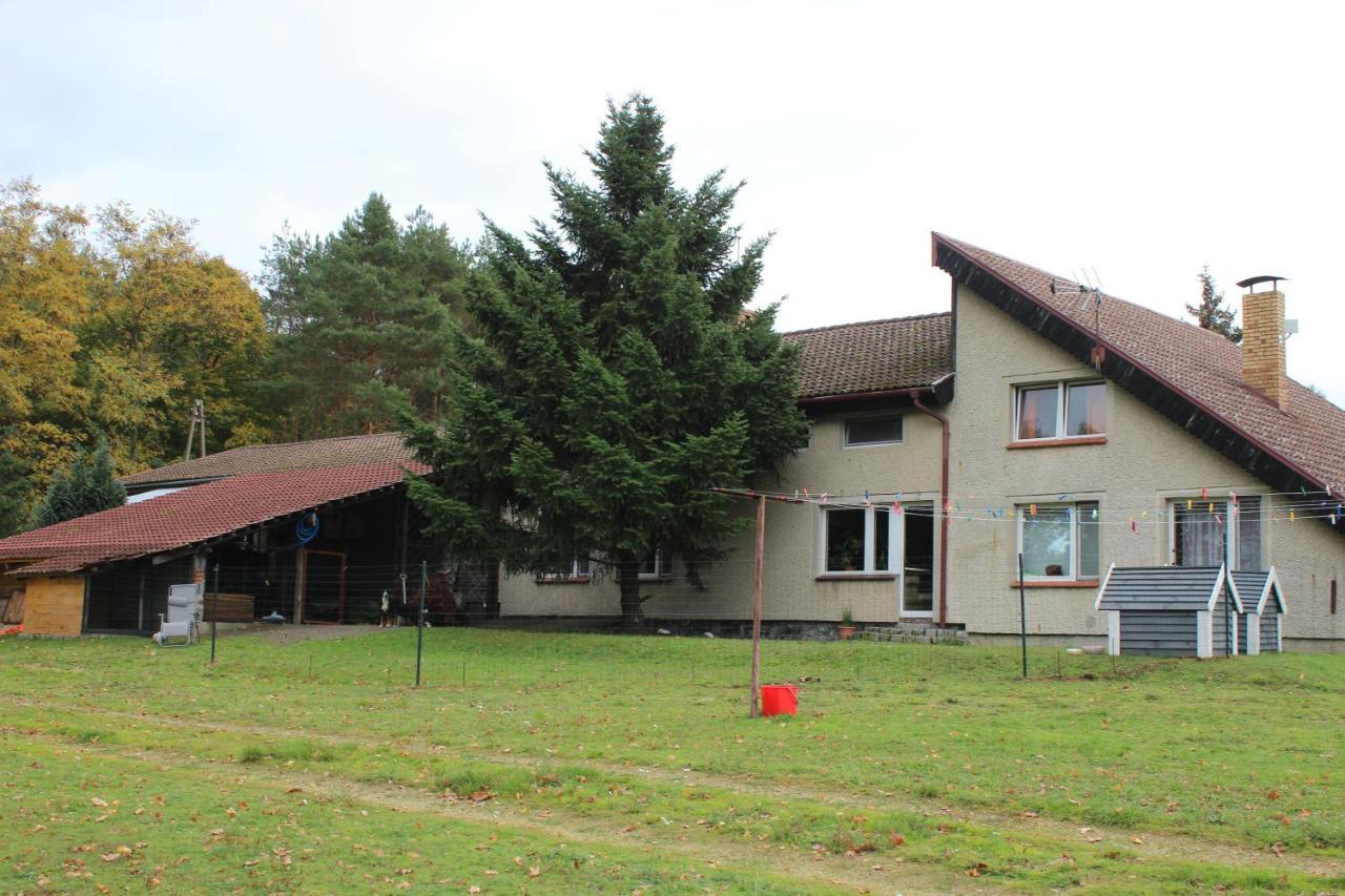 Gospodarstwo Agroturystyczne Agroletnica Świdnica Kültér fotó