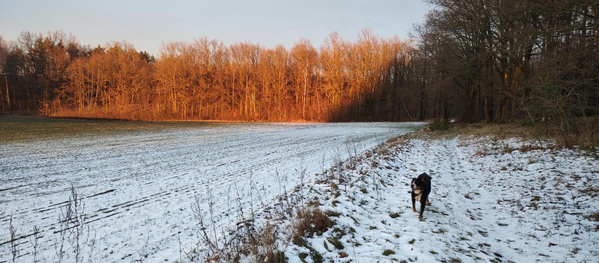 Gospodarstwo Agroturystyczne Agroletnica Świdnica Kültér fotó